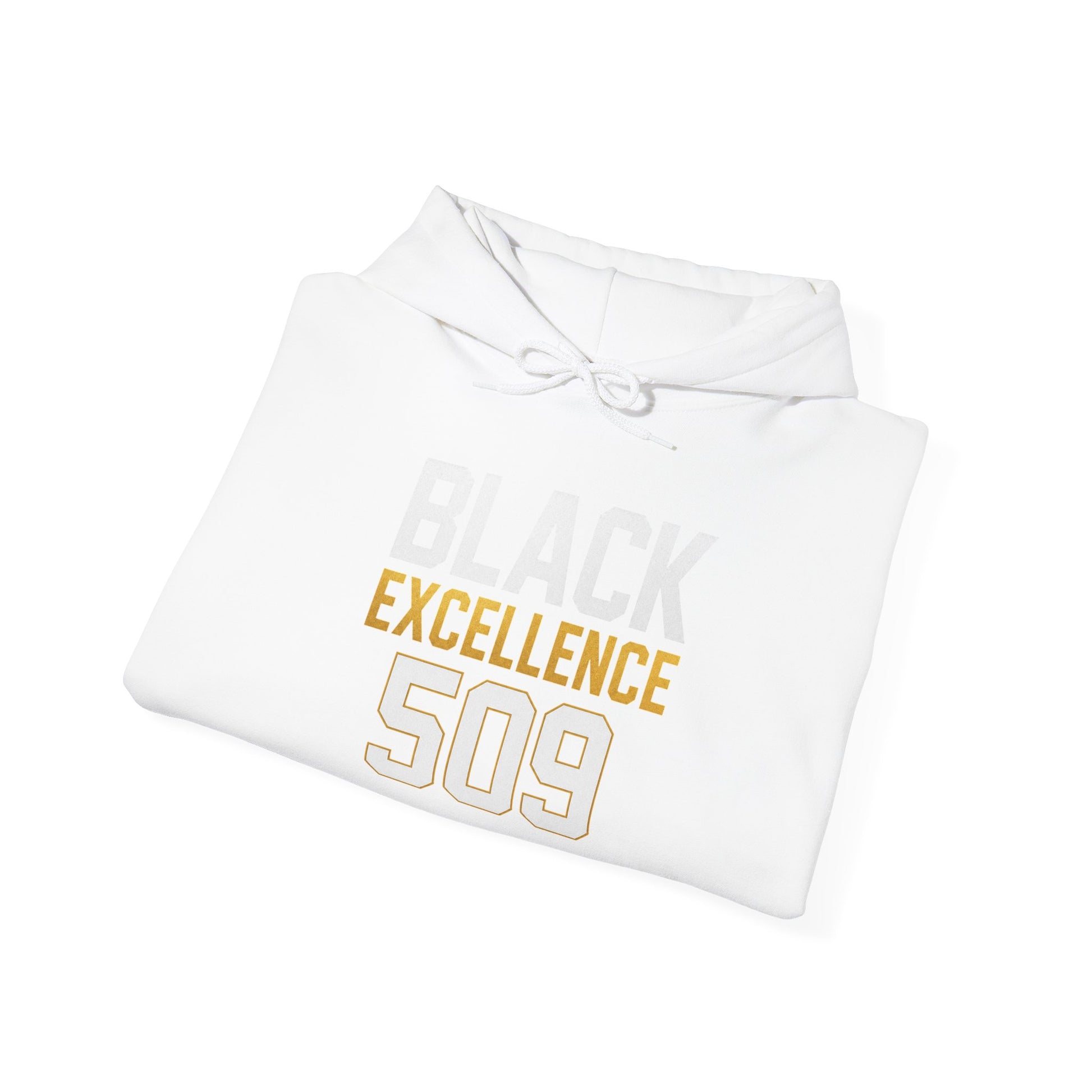 Black Excellence 509 Hoodie — Inspirational Pride Pullover