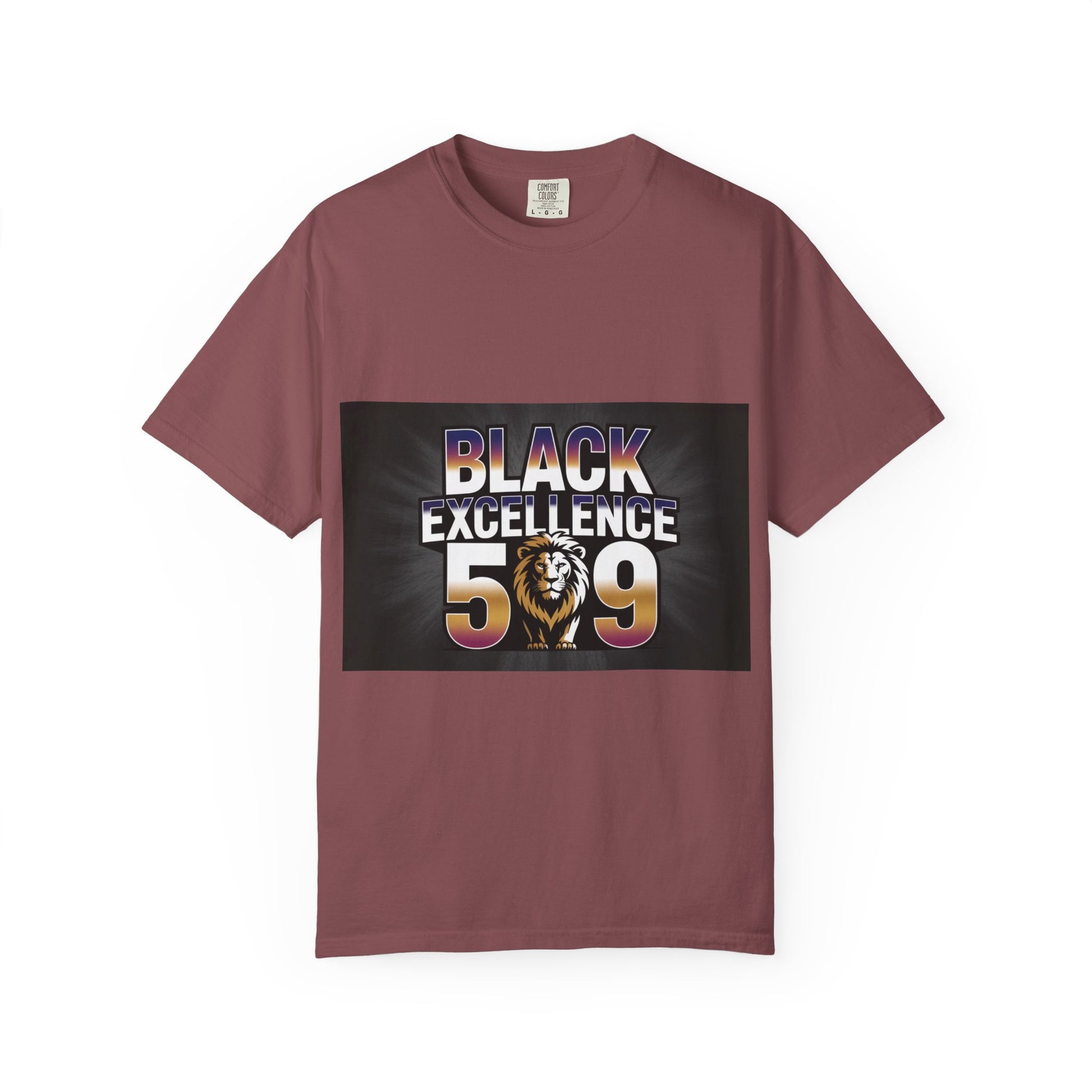 Black Excellence T-Shirt | Unisex Stylish Tee, Celebration Apparel, Black History Month, Gifts for Him & Her, Casual Wear