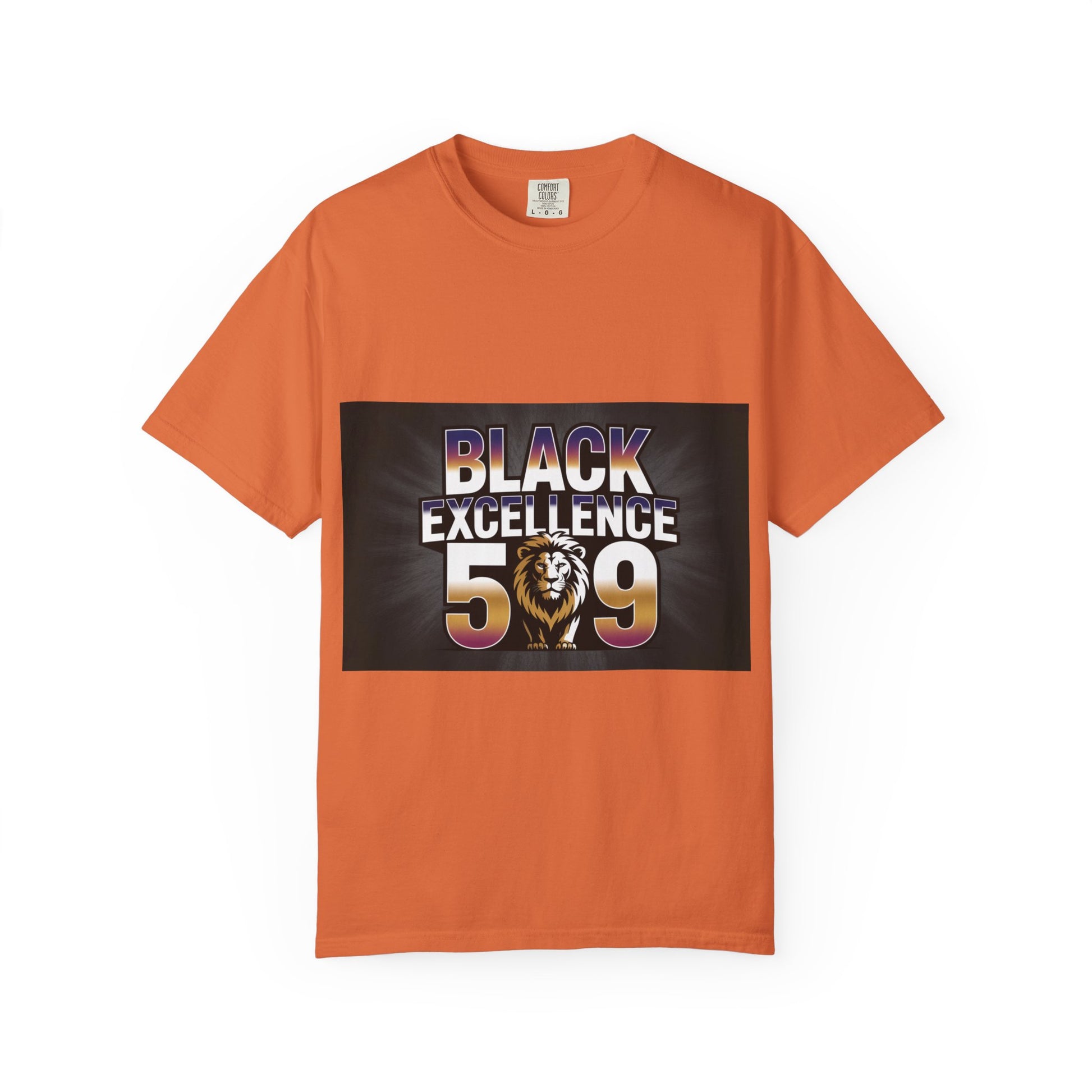 Black Excellence T-Shirt | Unisex Stylish Tee, Celebration Apparel, Black History Month, Gifts for Him & Her, Casual Wear
